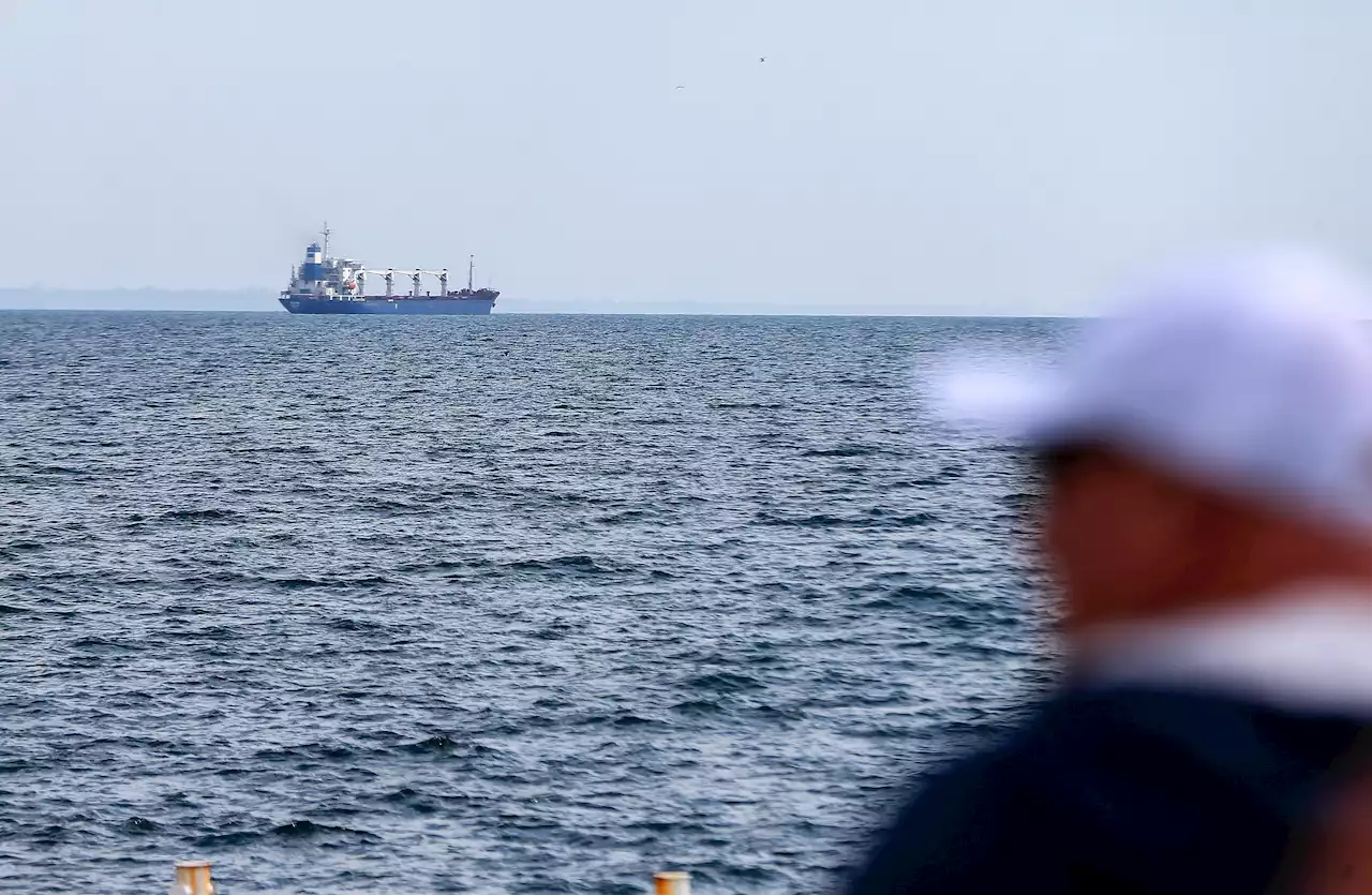 Verwirrung um Mais-Frachter 'Razoni' - Erstes Schiff mit Getreide aus der Ukraine ohne klares Ziel