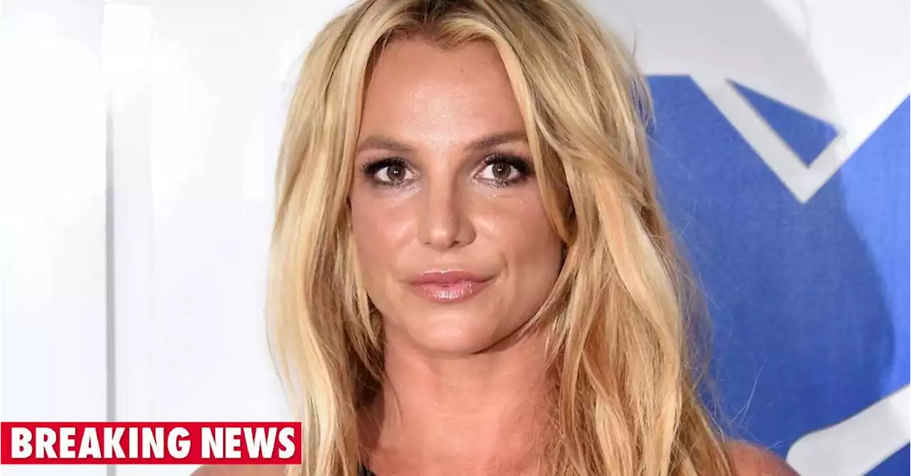 Britney Spears: Singer responds to ex Kevin's 'hurtful' comments about her sons