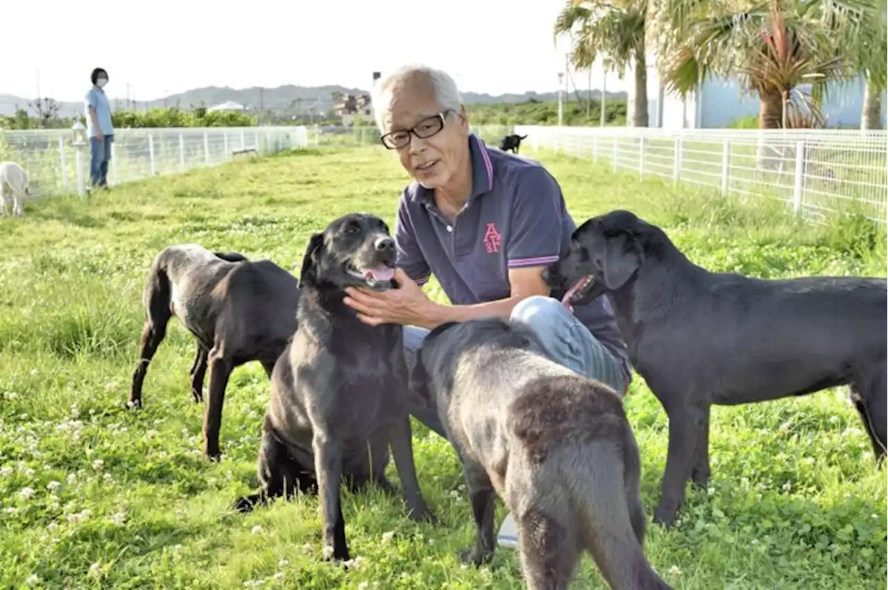 がんのニオイを嗅ぎ分ける「がん探知犬」 かなりの初期段階に反応する可能性も - トピックス｜Infoseekニュース