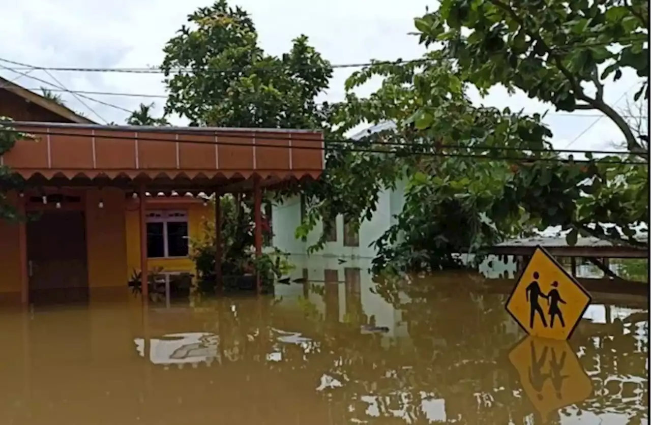 2.984 Rumah Terendam, 13.335 Penduduk Terdampak