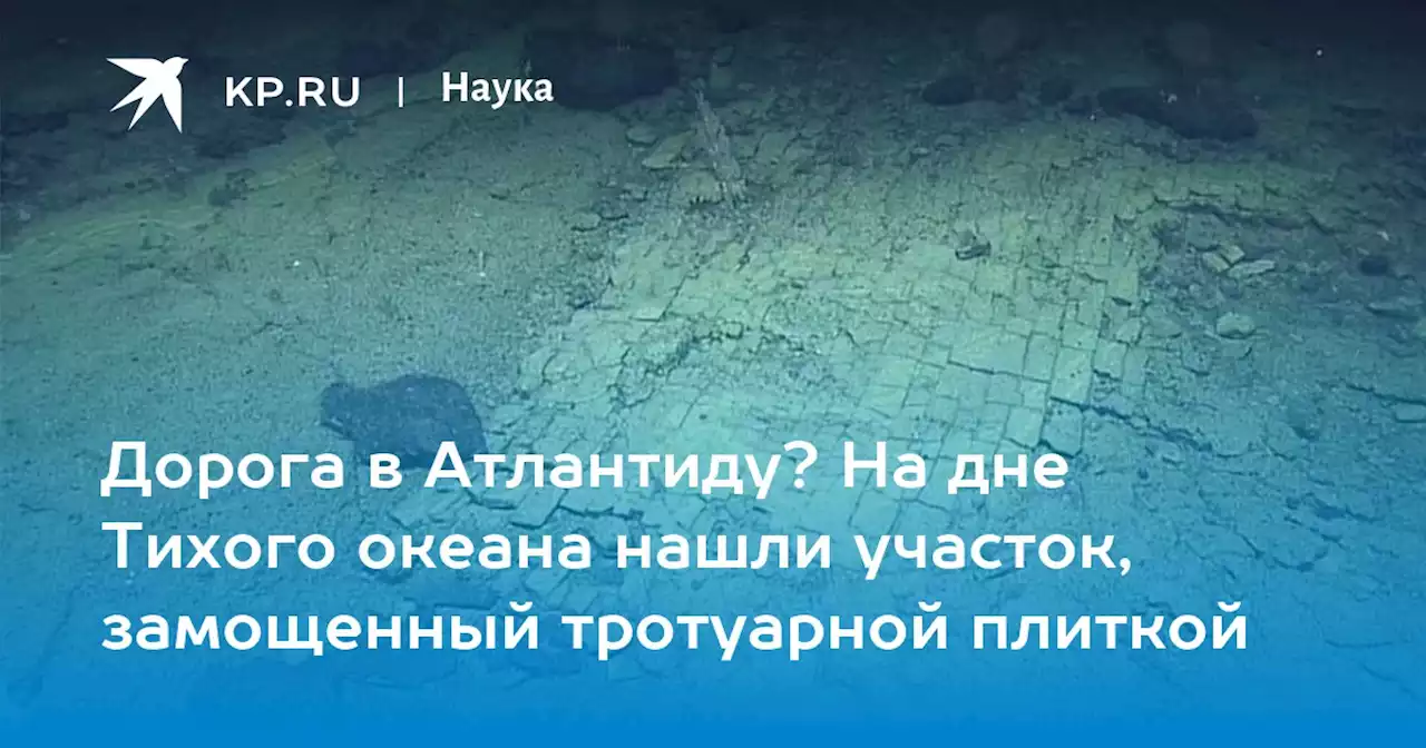 Дорога в Атлантиду? На дне Тихого океана нашли участок, замощенный тротуарной плиткой
