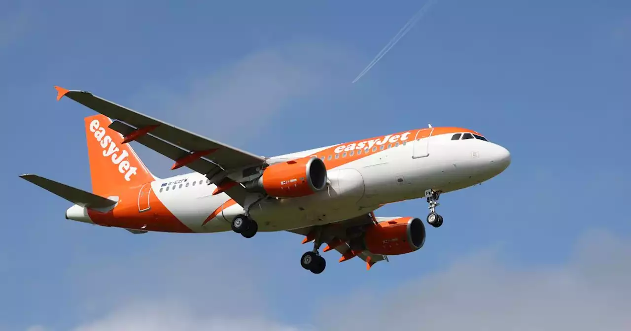 EasyJet flight makes emergency landing at Manchester Airport due to bird strike