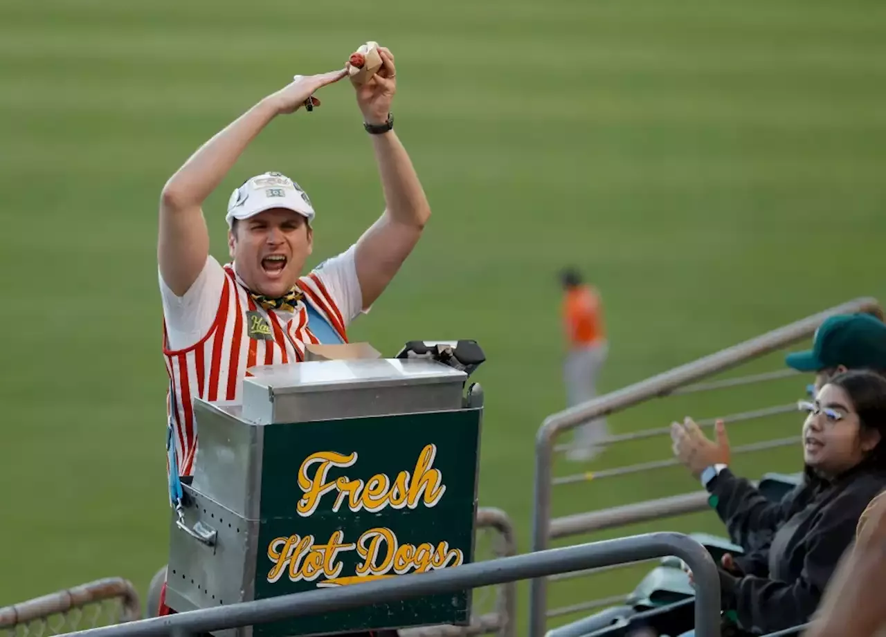 Meet the Oakland Athletic's favorite vendor Hal the Hot Dog Guy 