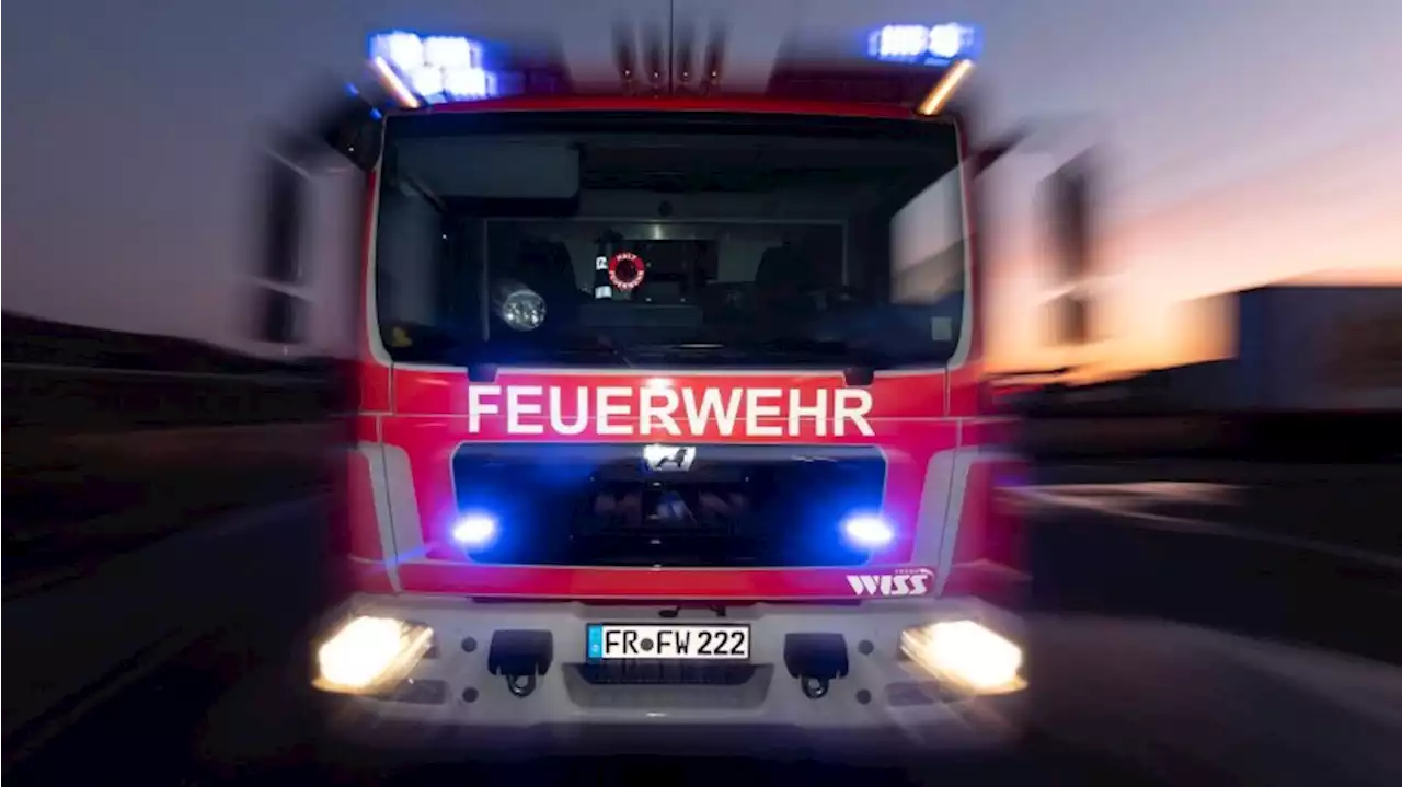 Bei Picknick in Teltow mit Zigarette Wiesenbrand ausgelöst