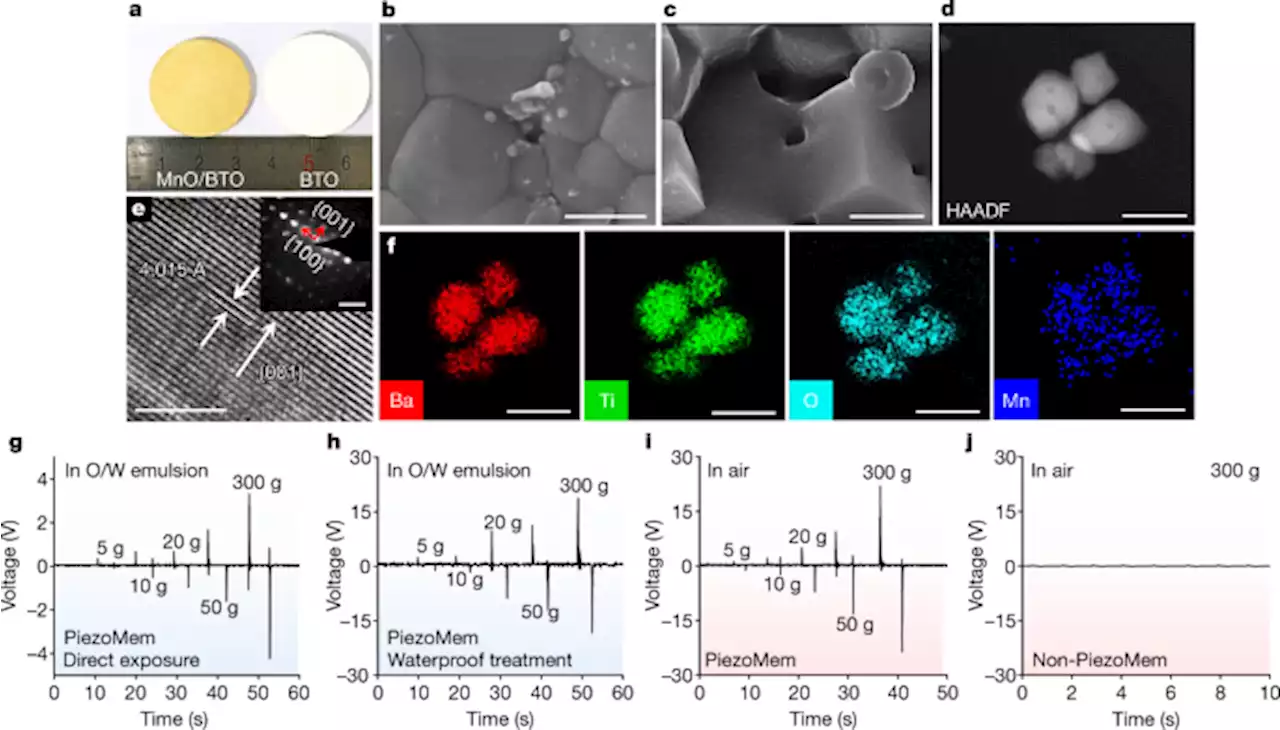 Pulsed hydraulic-pressure-responsive self-cleaning membrane - Nature