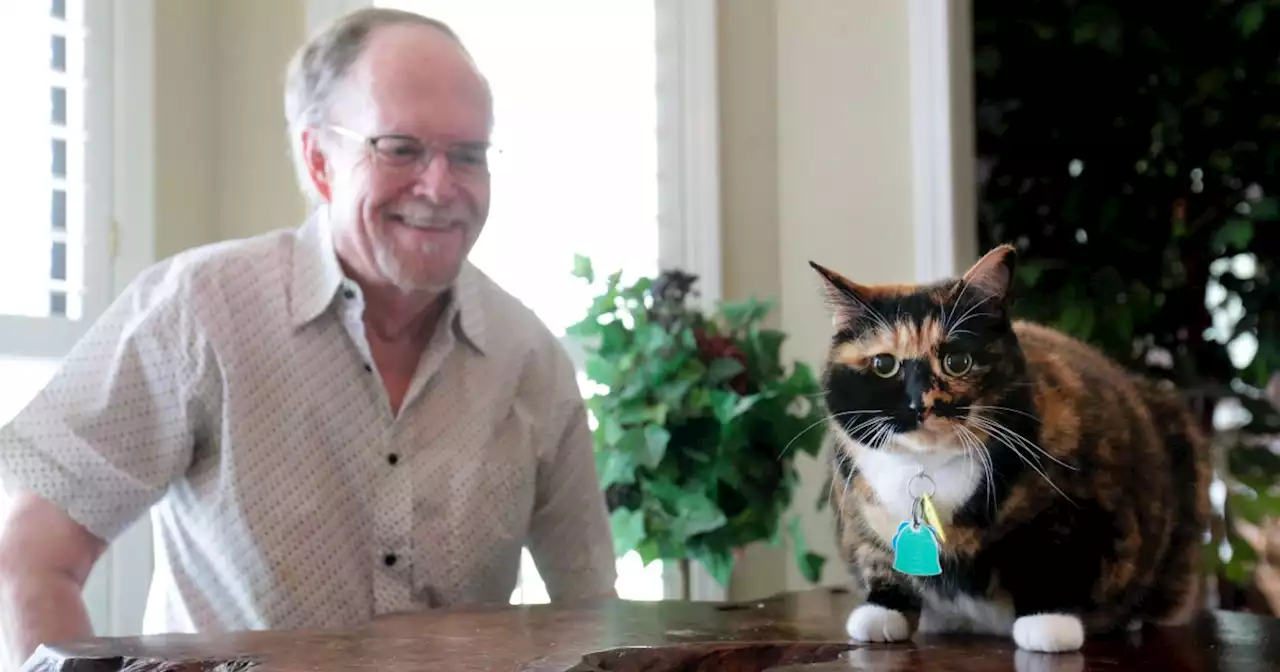 A ‘guard cat’ named Bandit helped stop an armed robbery at the home of a Mississippi man