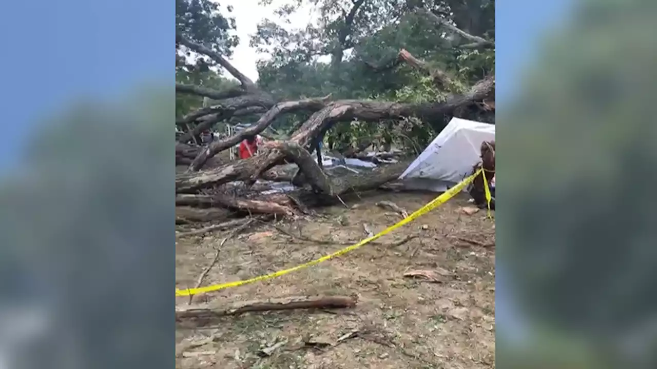 Multiple Injured as Tree Falls on People in Fairmount Park