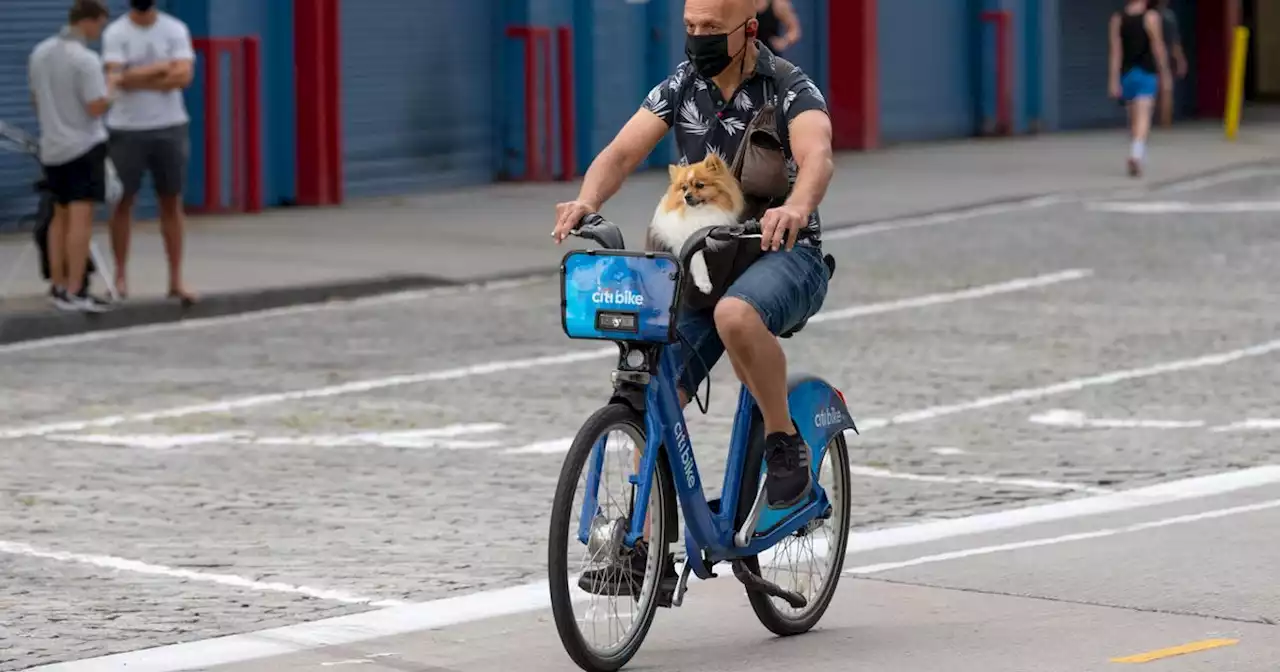 What If We Stole the West Side Highway for Bikes?