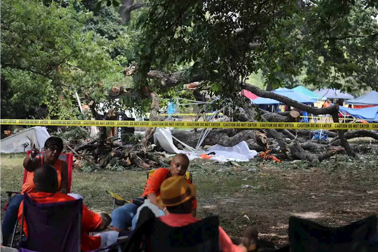 6 injured in Fairmount Park tree collapse