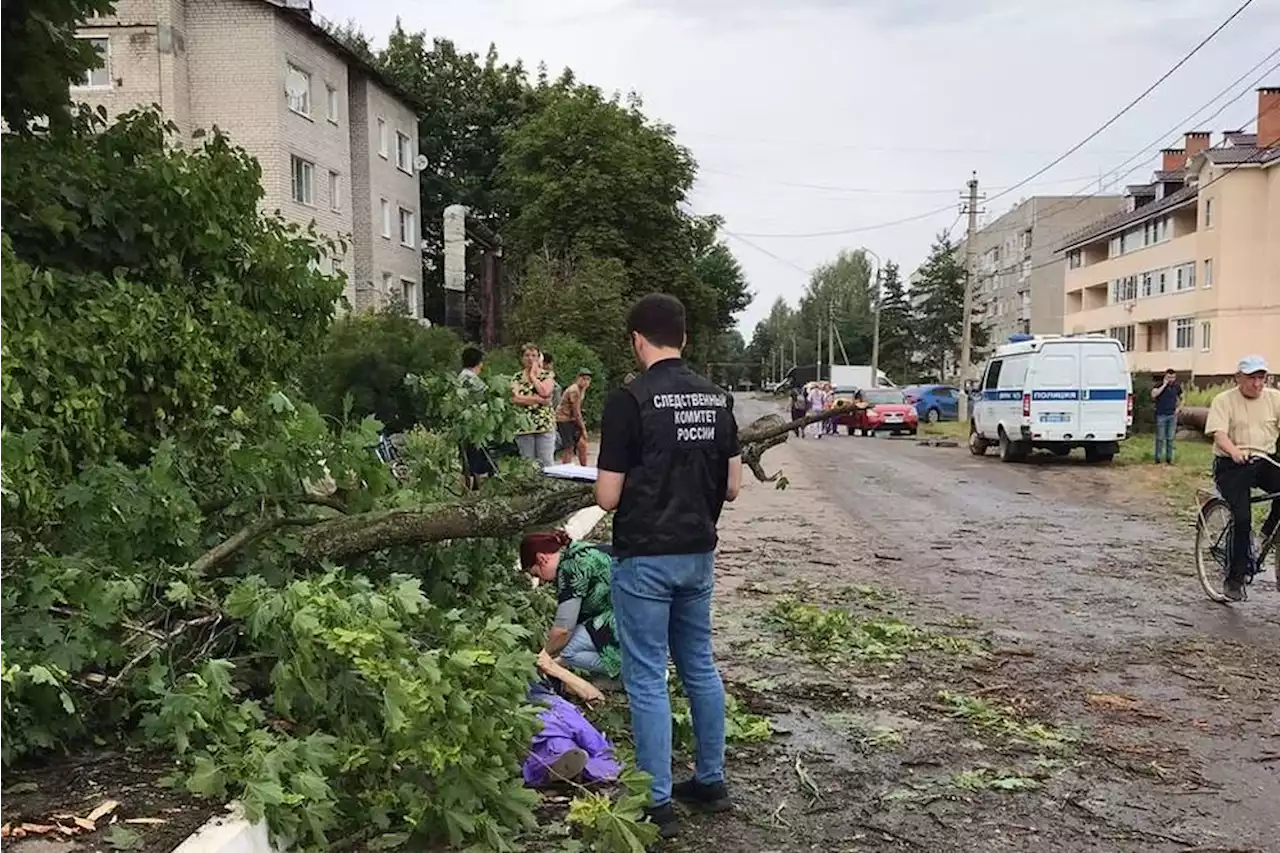 Под Ярославлем дерево убило женщину - Российская газета