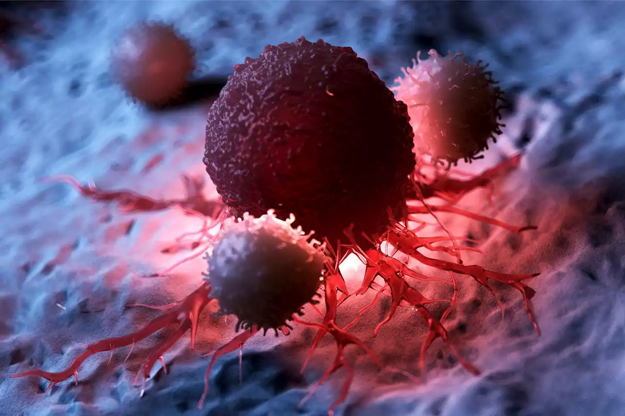 Cancer Breakthrough: Unexpected Link Discovered Between Most Common Cancer Drivers