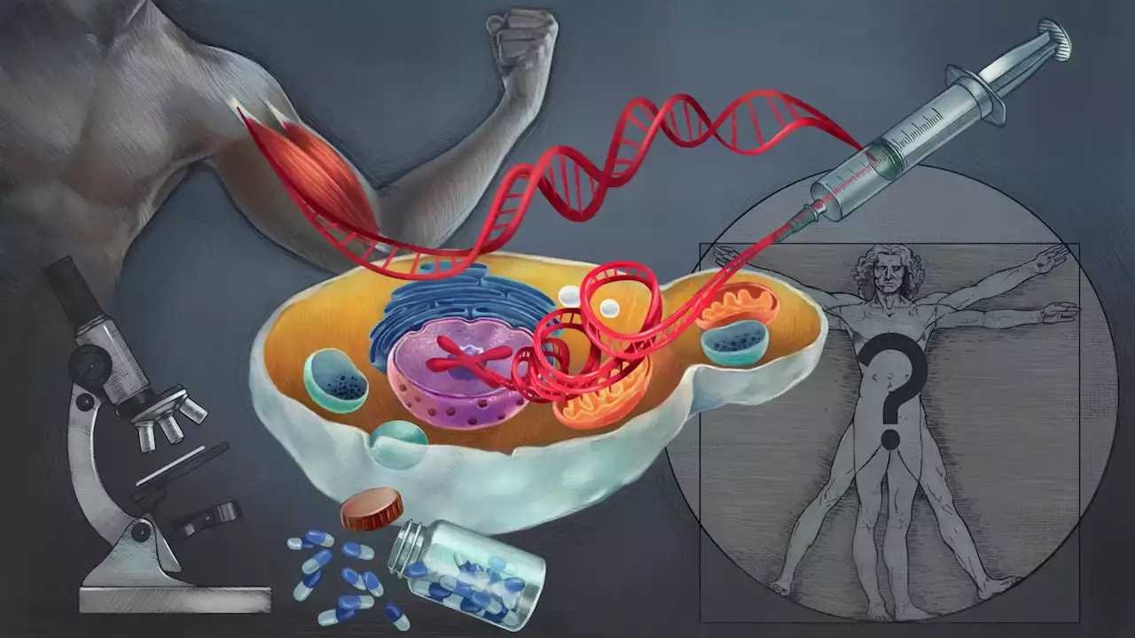 Humanized Yeast: Scientists Create Yeast With Important Human Genes