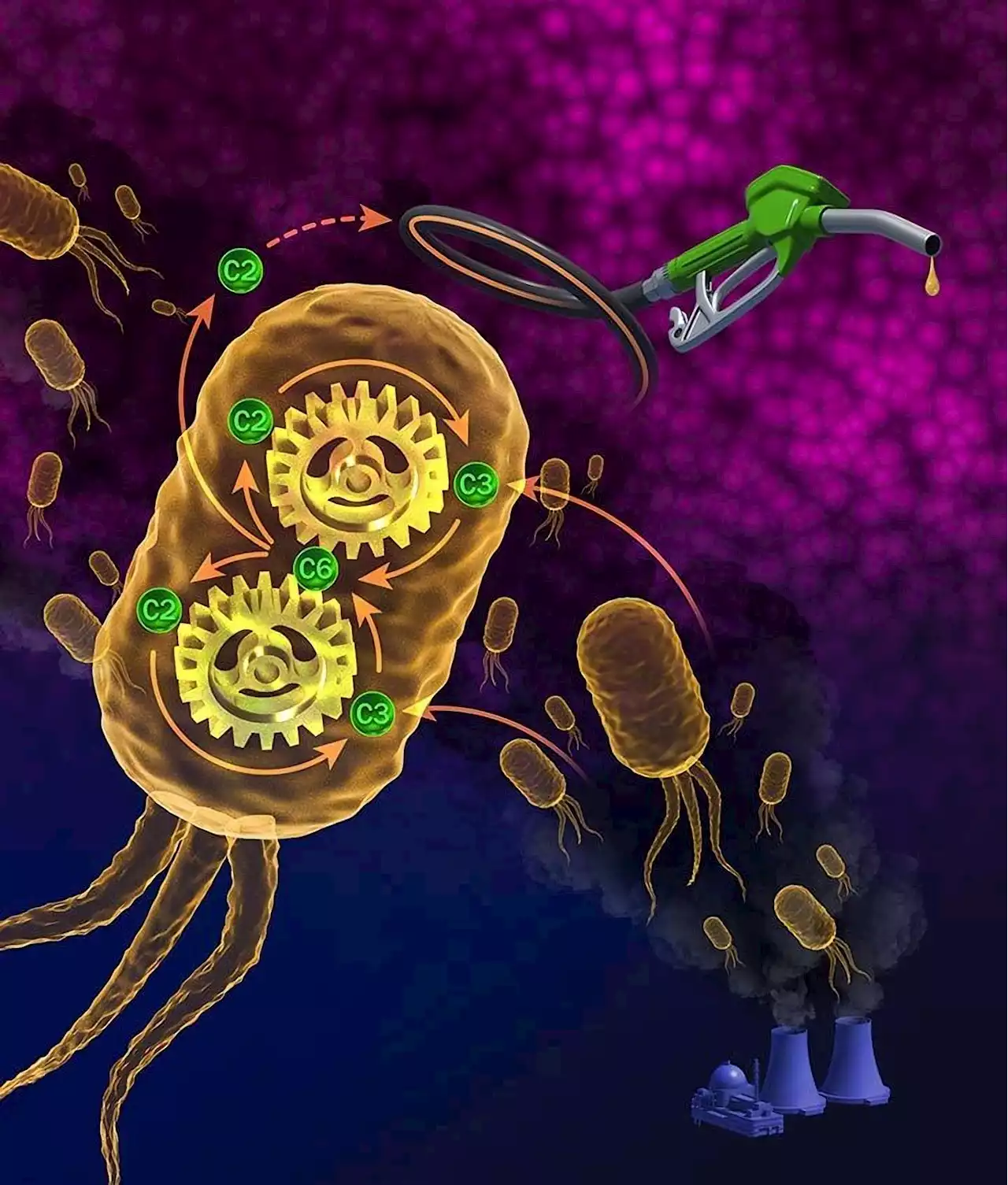 Not Just Bread and Beer: Microbes Can Ferment Carbon Dioxide To Make Fuel