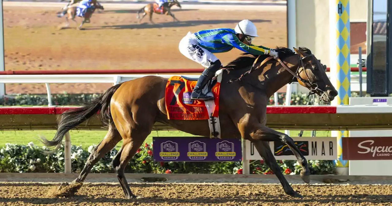 Blue Stripe, jockey Hector Berrios winners in Hirsch at Del Mar