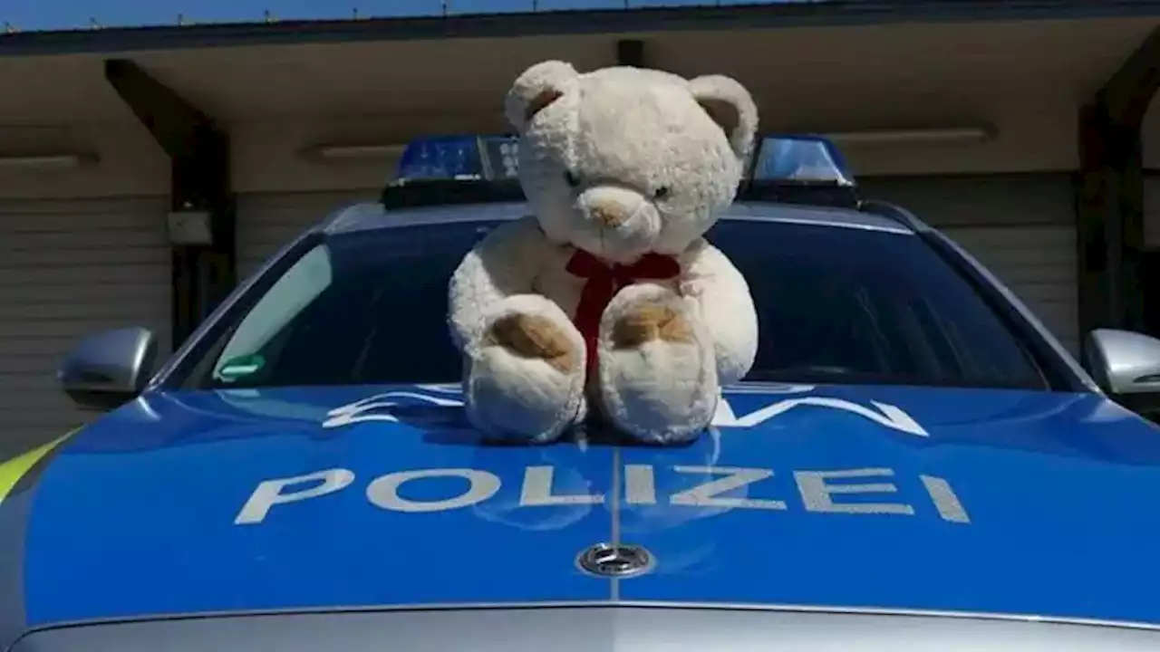 Polizei Mannheim sucht: Wem gehört dieser Teddybär?