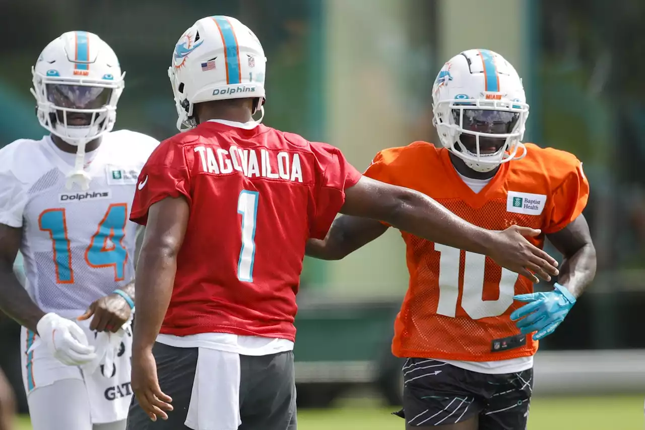 Dolphins' Addition Of Accomplished Vets Major Factor For 2022 Success