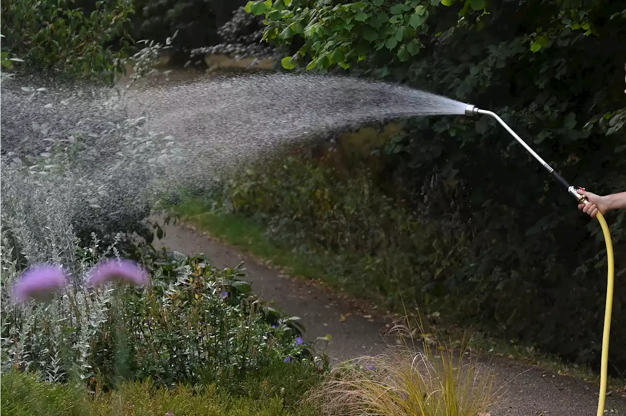 Environment Secretary urges water firms to act over fears of extended drought