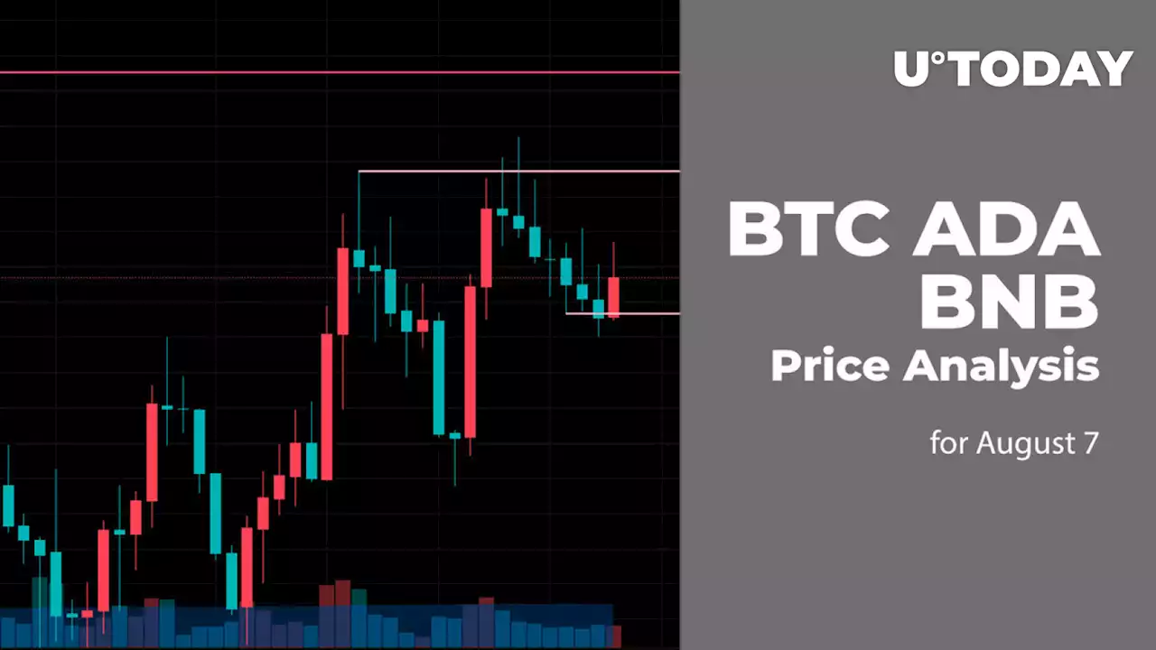 BTC, ADA and BNB Price Analysis for August 7