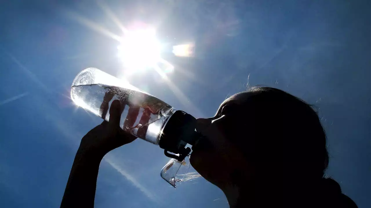 Sonne satt - Wo das Sommerwetter für Probleme sorgt und wo nicht