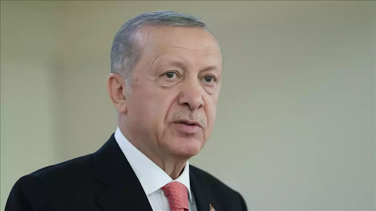 أردوغان: لا يوجد أي مبرر لقتل الأطفال والرضع
