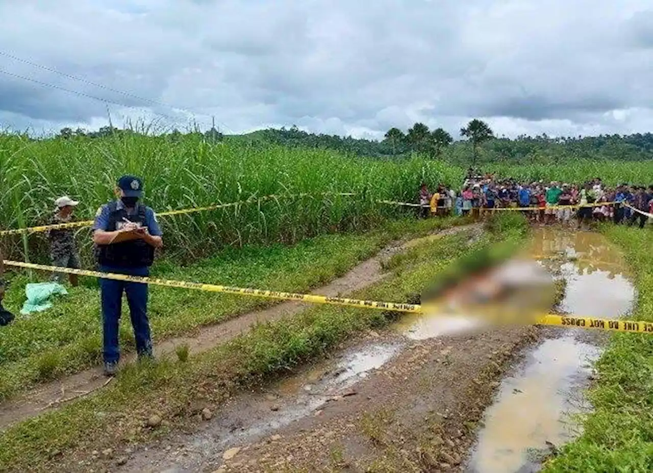 Suspected NPA rebels kill man in Negros town