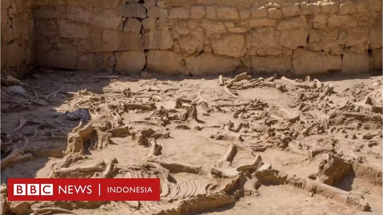 Misteri dan Mitos dari Peradaban Iberia yang Tiba-tiba Menghilang