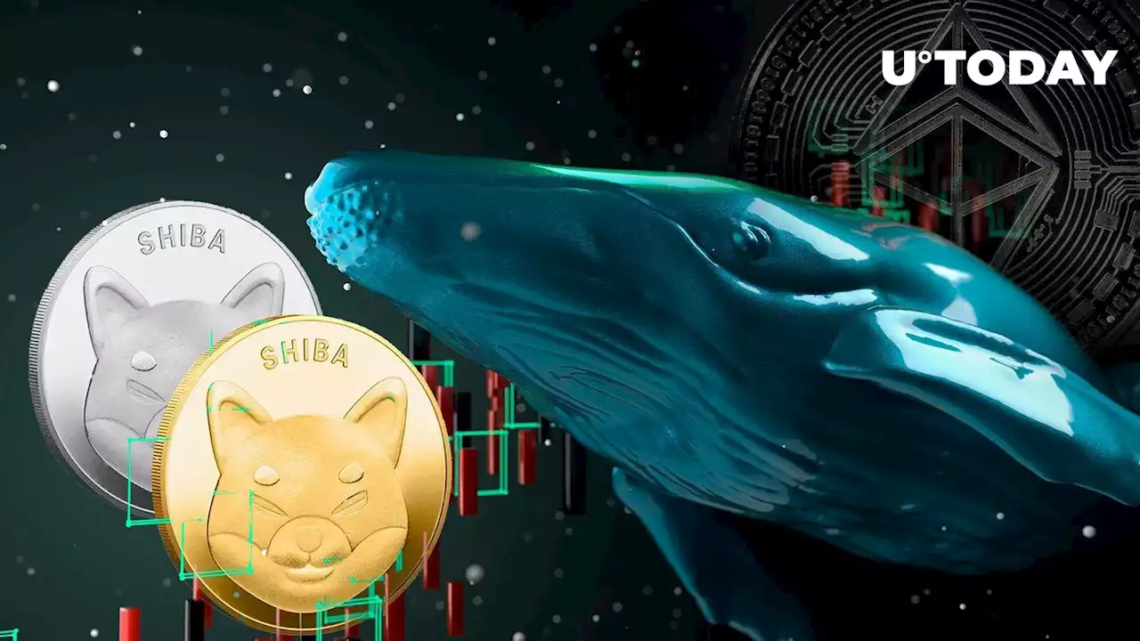 SHIB Worth $660 Million Settled in 2,000 Biggest ETH Whales' Pockets