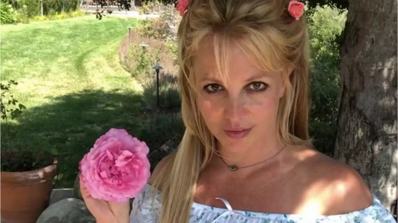 Britney Spears' Ex packt aus: Söhne wollen ihre Mutter angeblich nicht mehr sehen