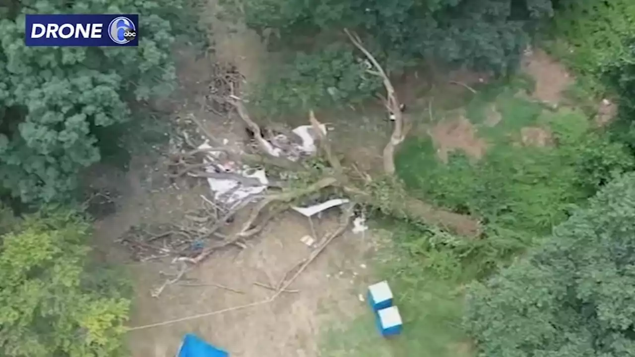 Area where tree fell, injured 8 in Philadelphia's Fairmount Park was recently inspected: Officials