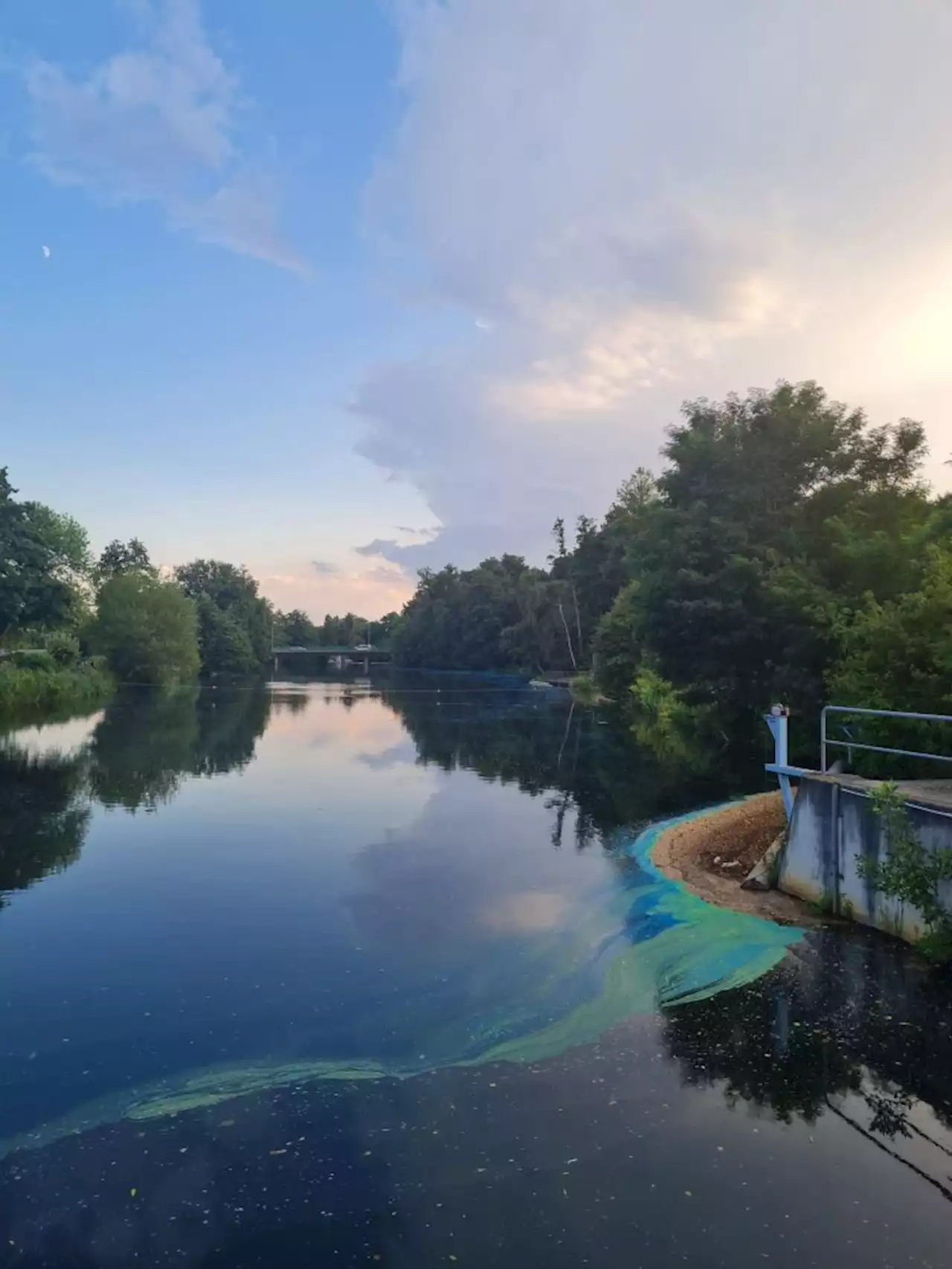 Blauer Teppich auf der Spree