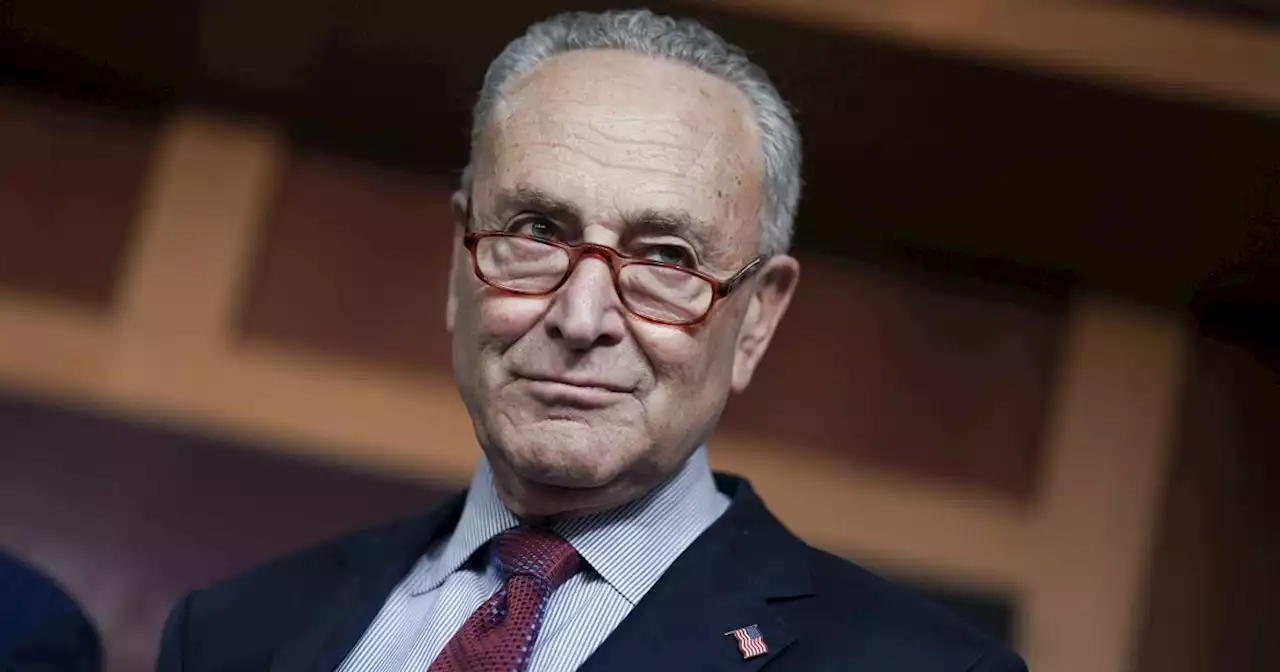 Schumer delivers series of wins for Democrats, but will it be enough to save his majority?