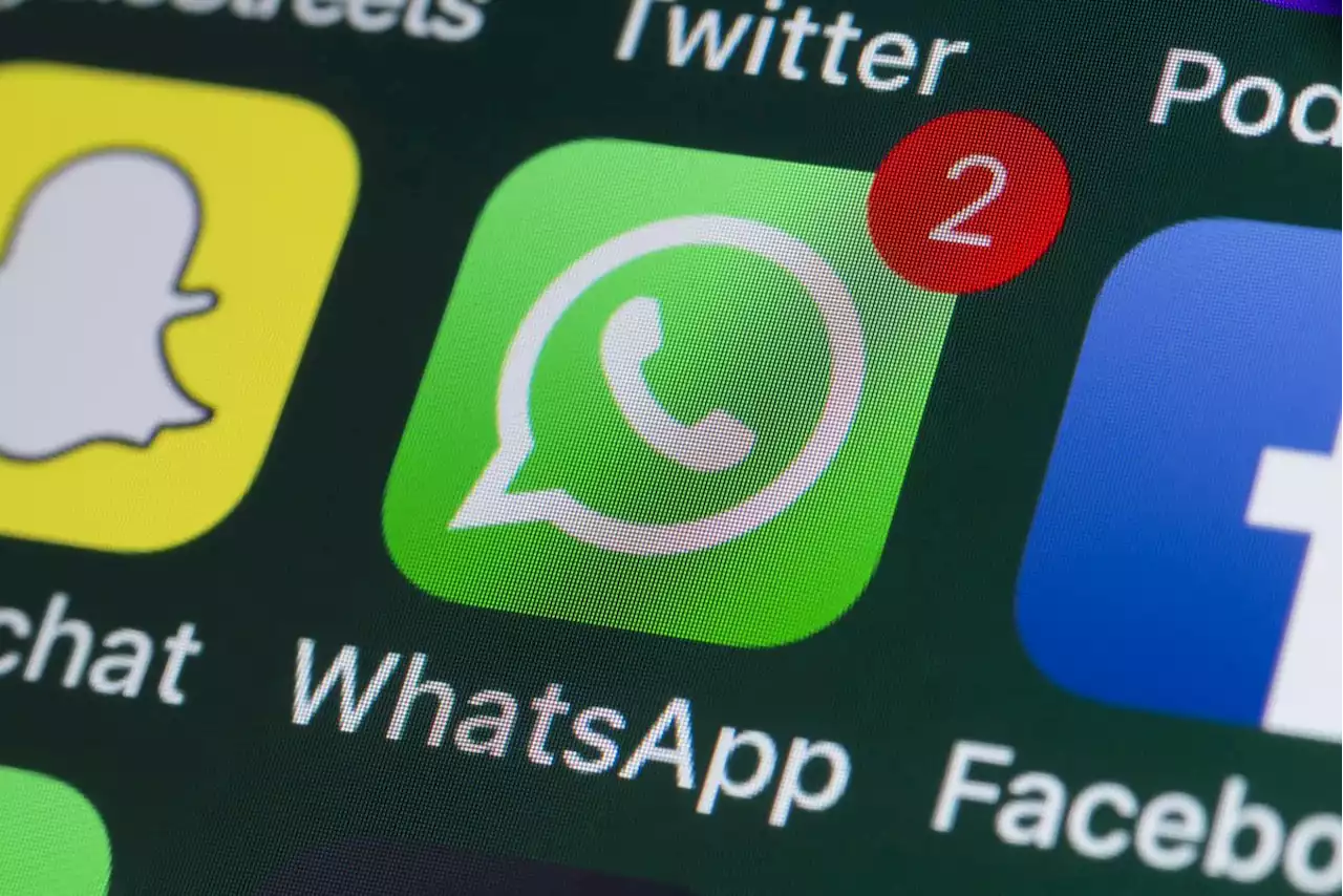 WhatsApp's latest privacy features include the ability to hide your online status | Engadget