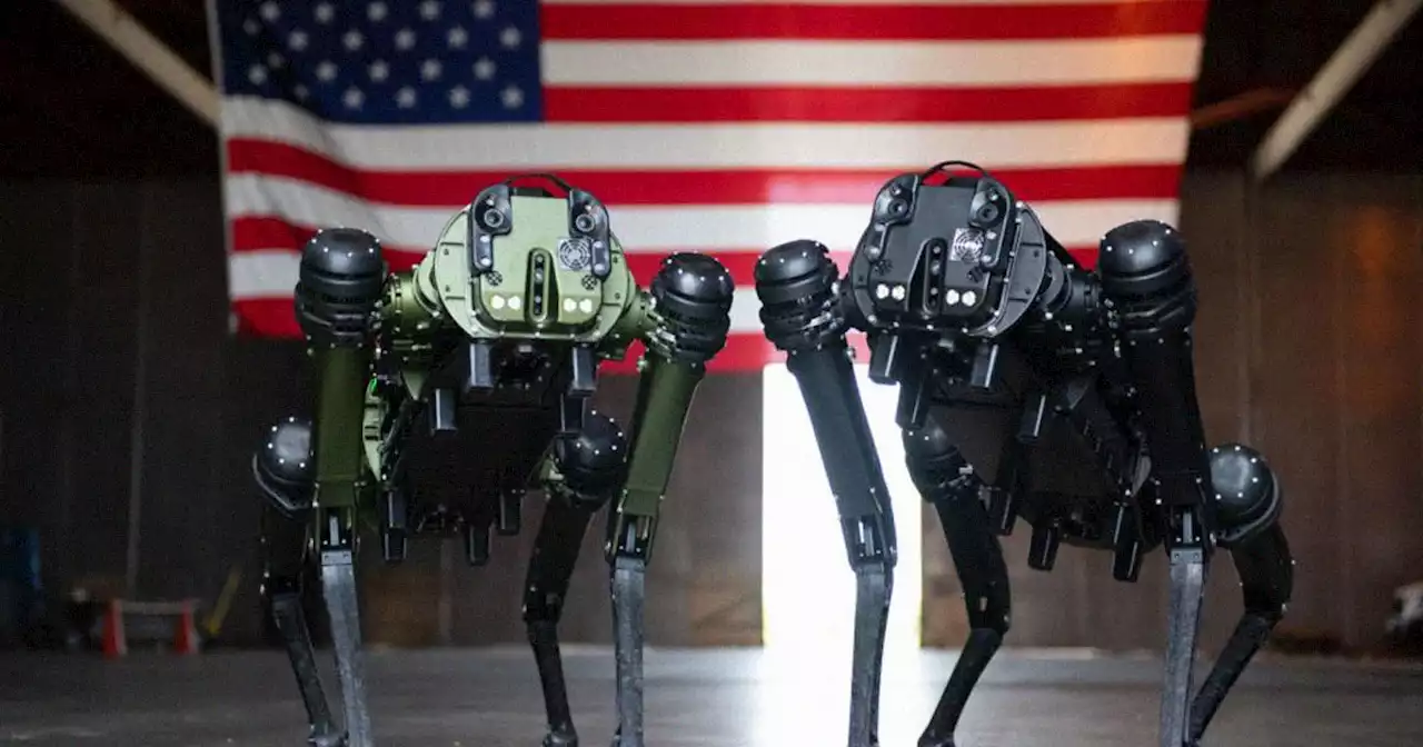 Space Force Sending in Robot Dogs to Patrol a Space Port