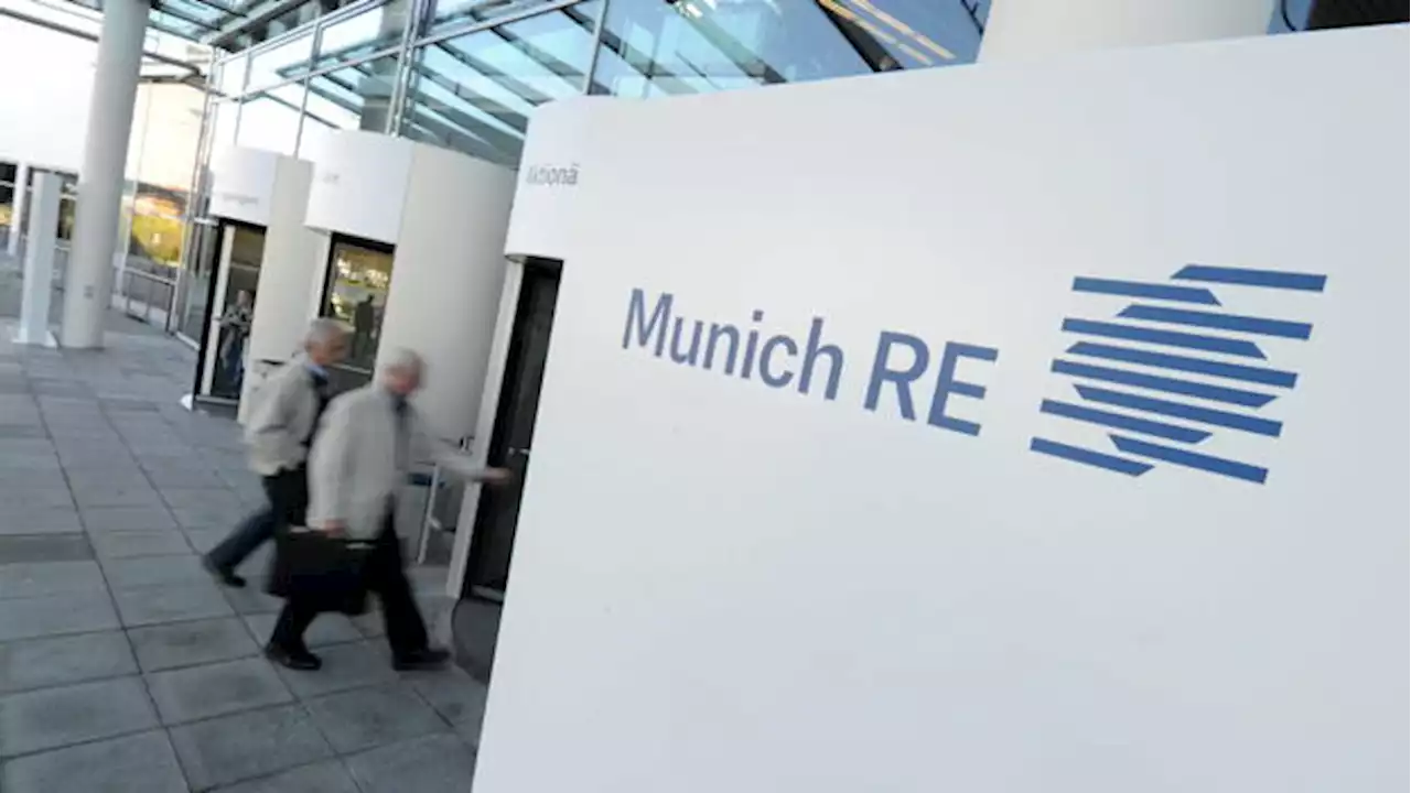 Munich RE: Gewinn von Münchener Rück bricht ein – Prognose bestätigt