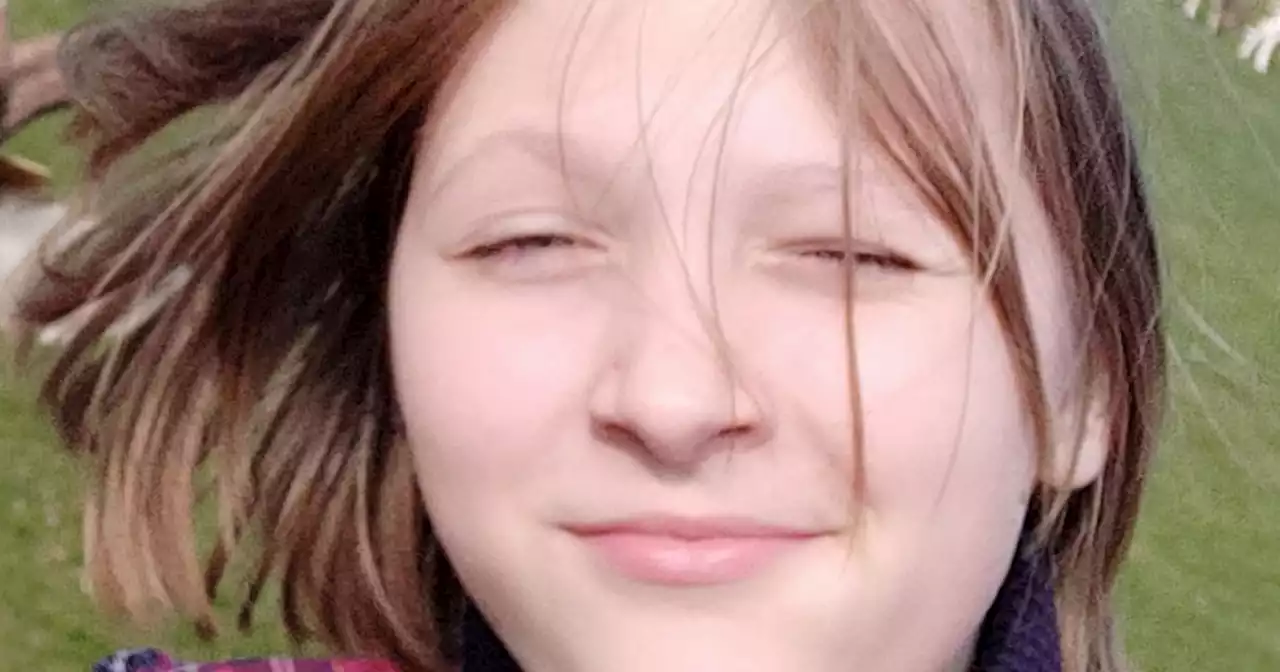Gardai appeal to public in search for girl, 11, missing from her home in Dublin