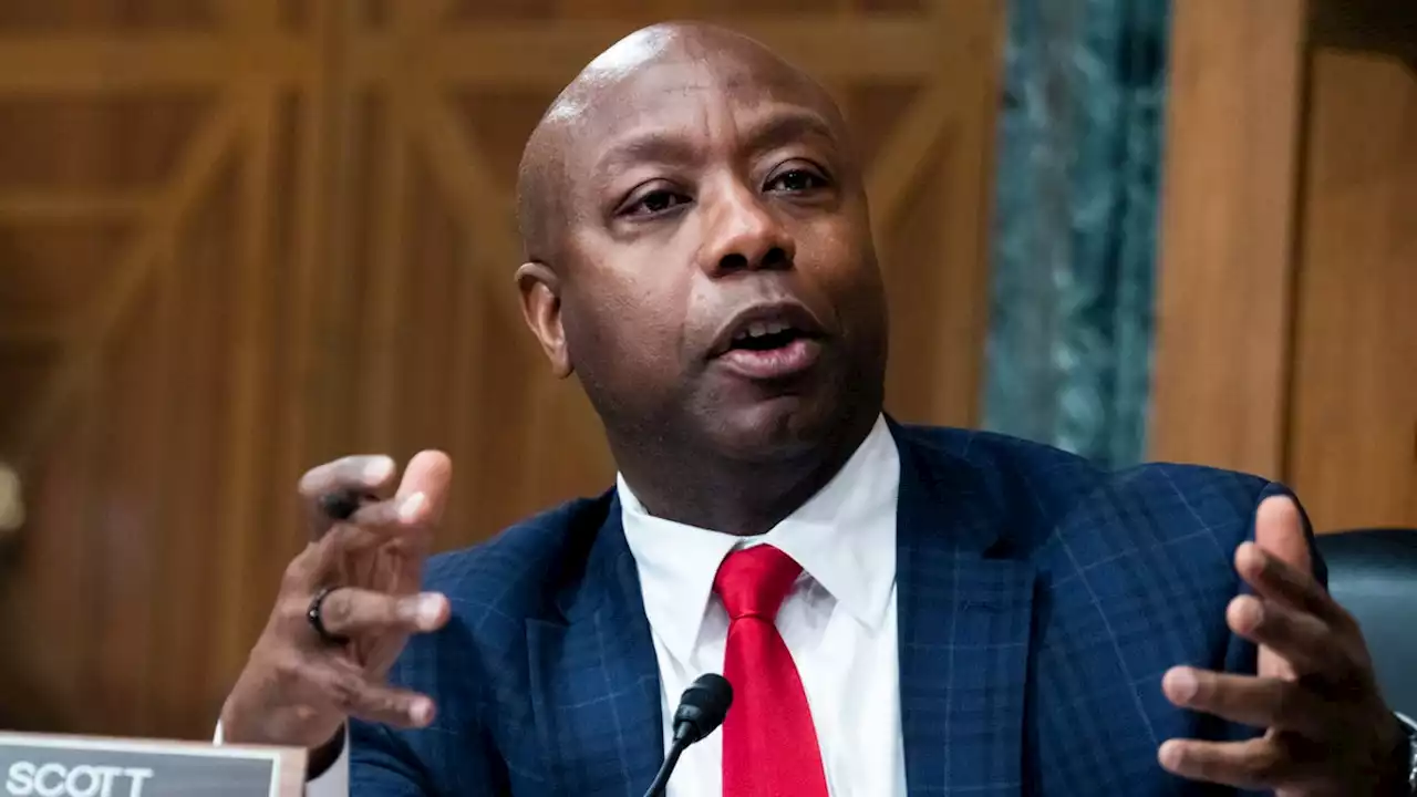 Sen. Tim Scott Claims Democrats Want to Legalize 'Abortion' of 3-Month-Old Infants