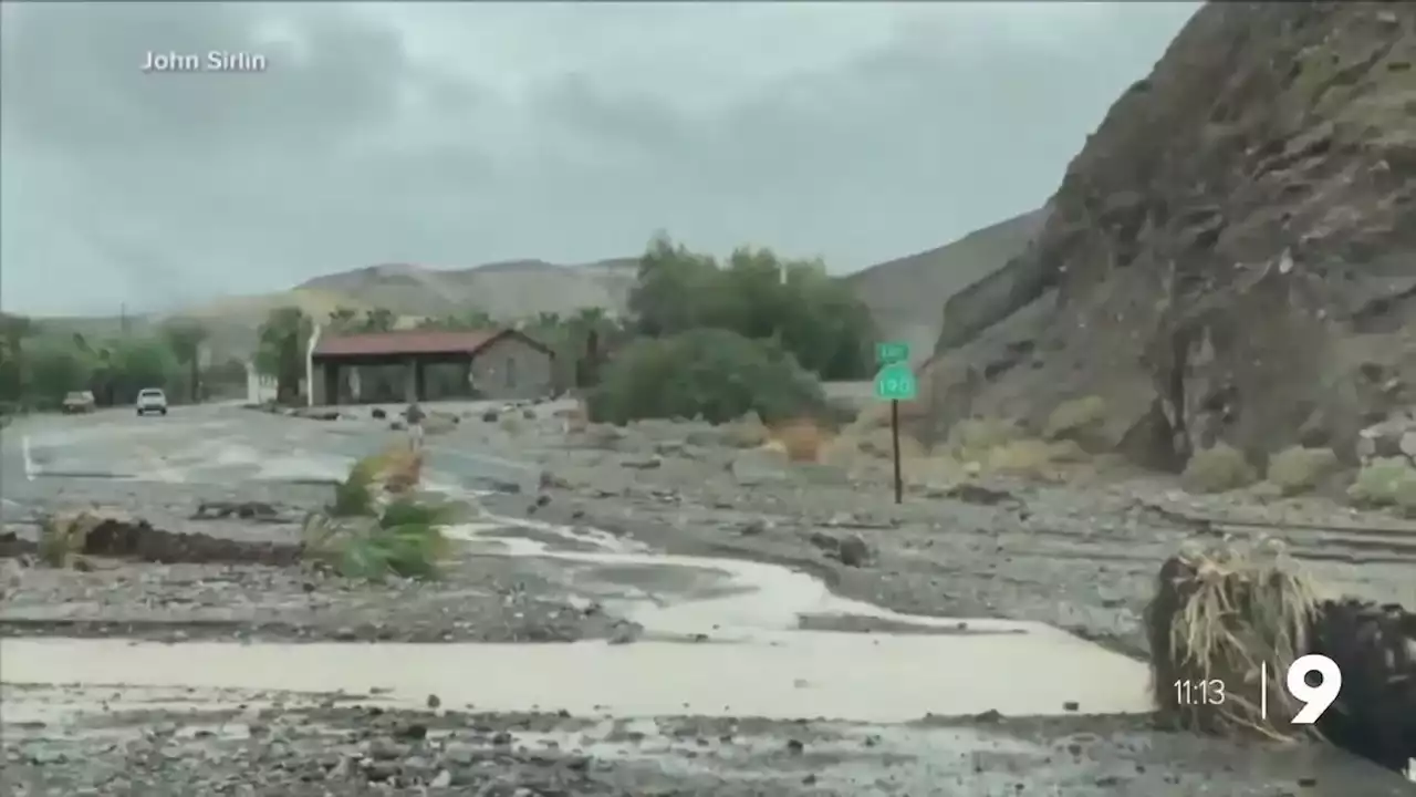 Monsoon stays active through the week