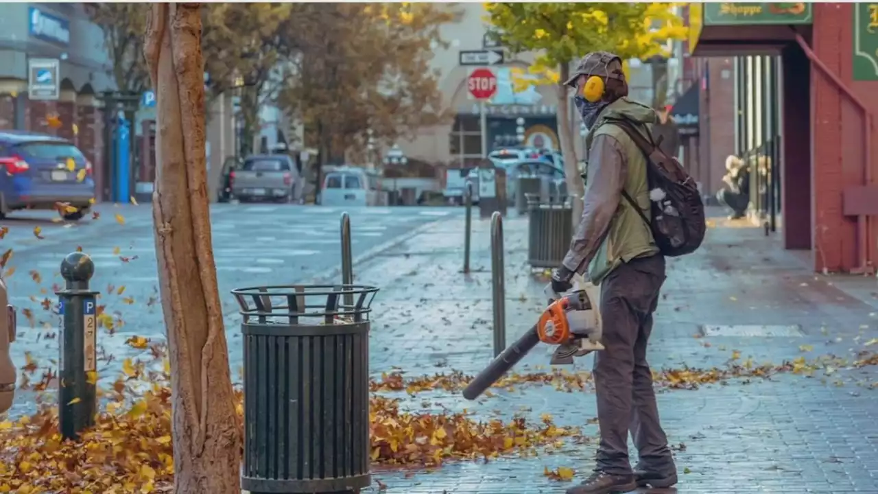 Gas-powered leaf blowers facing a ban in Seattle