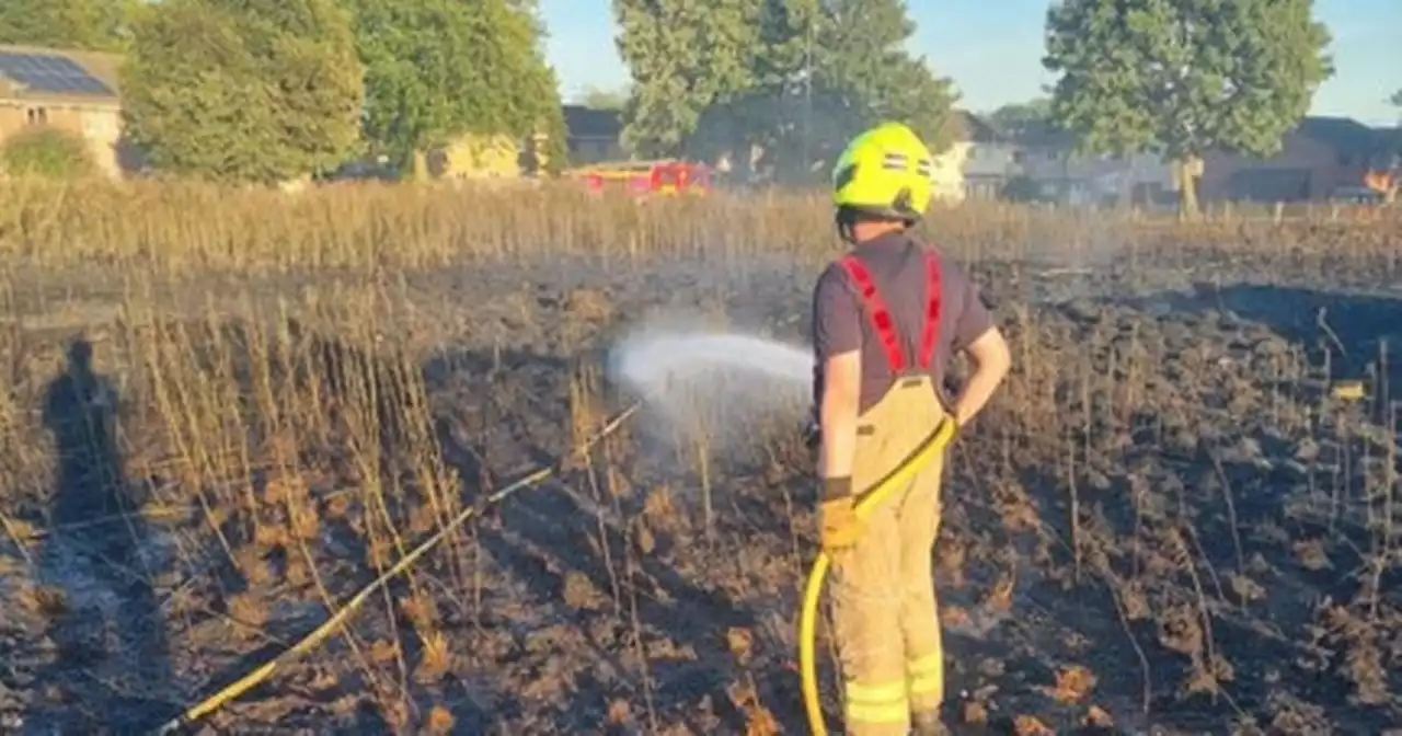 Barbecues banned from all parks in Nottingham