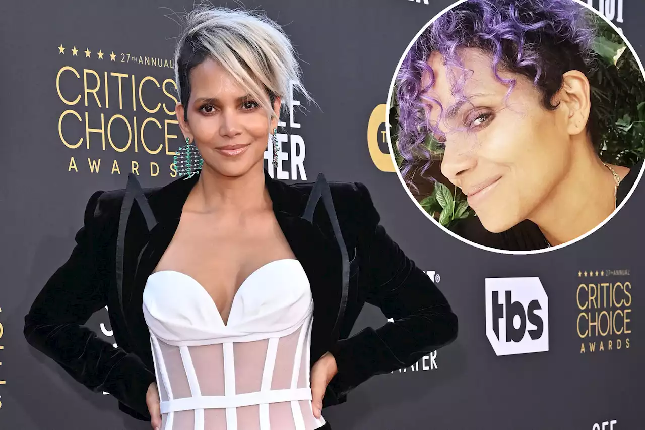 Halle Berry debuts new purple hair ahead of birthday