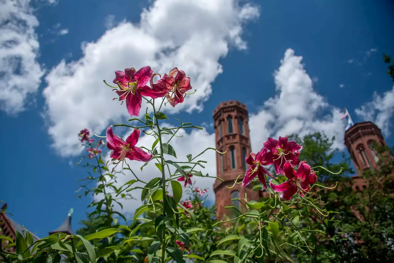 D.C.-area forecast: Oppressive heat and humidity before outrageously nice weekend