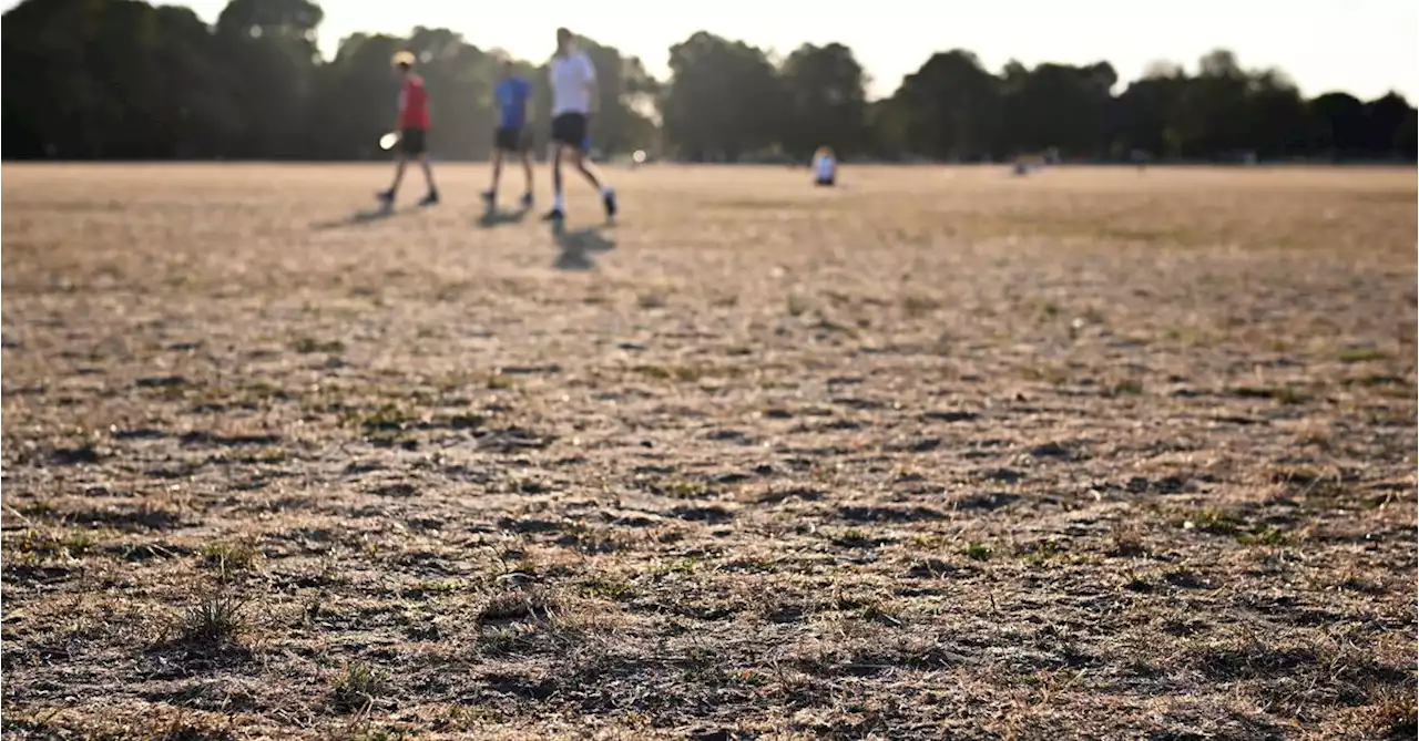 UK issues new 'extreme heat' warning for England and Wales