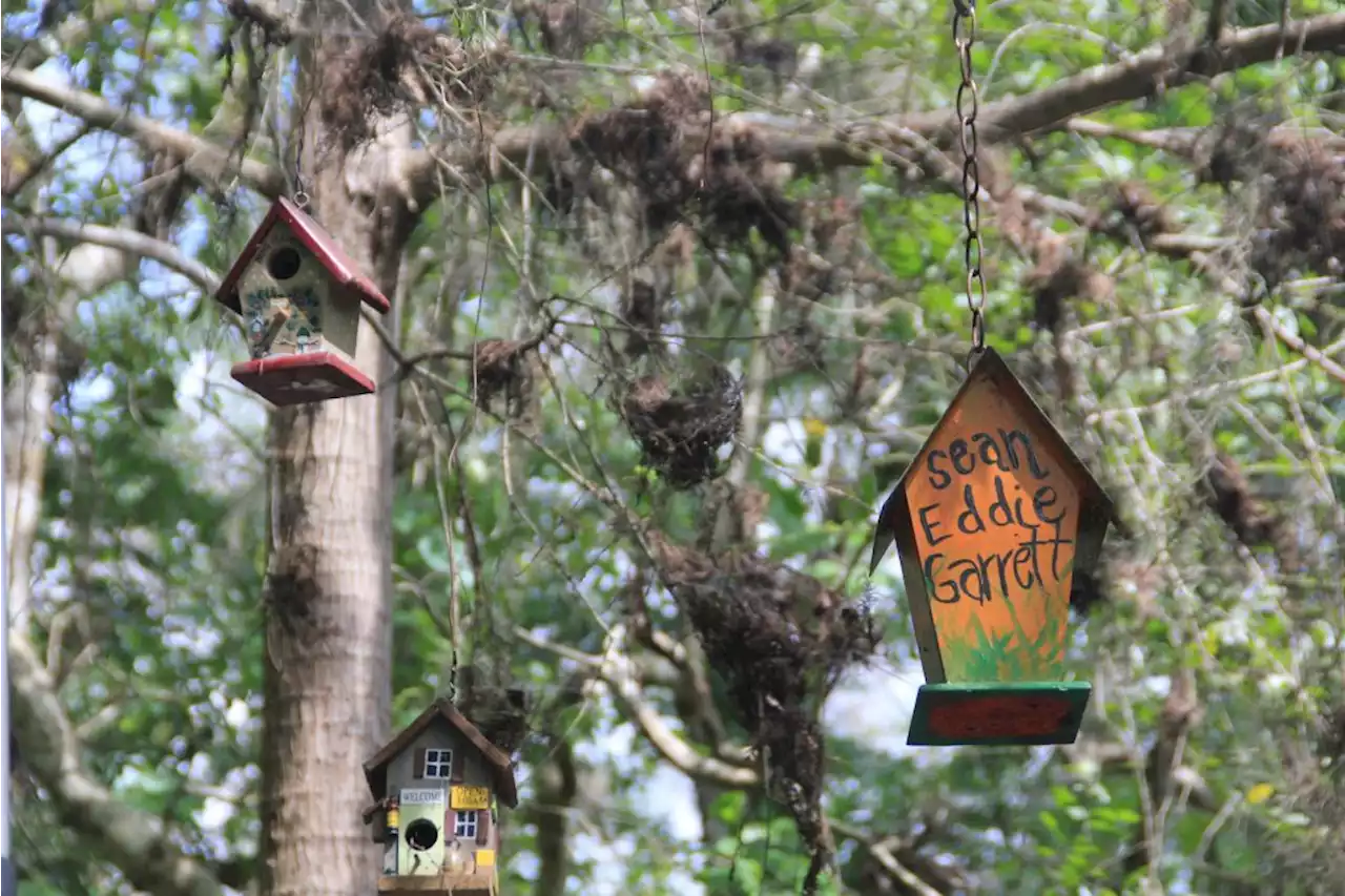 Remember Your Loved One—Build a Birdhouse