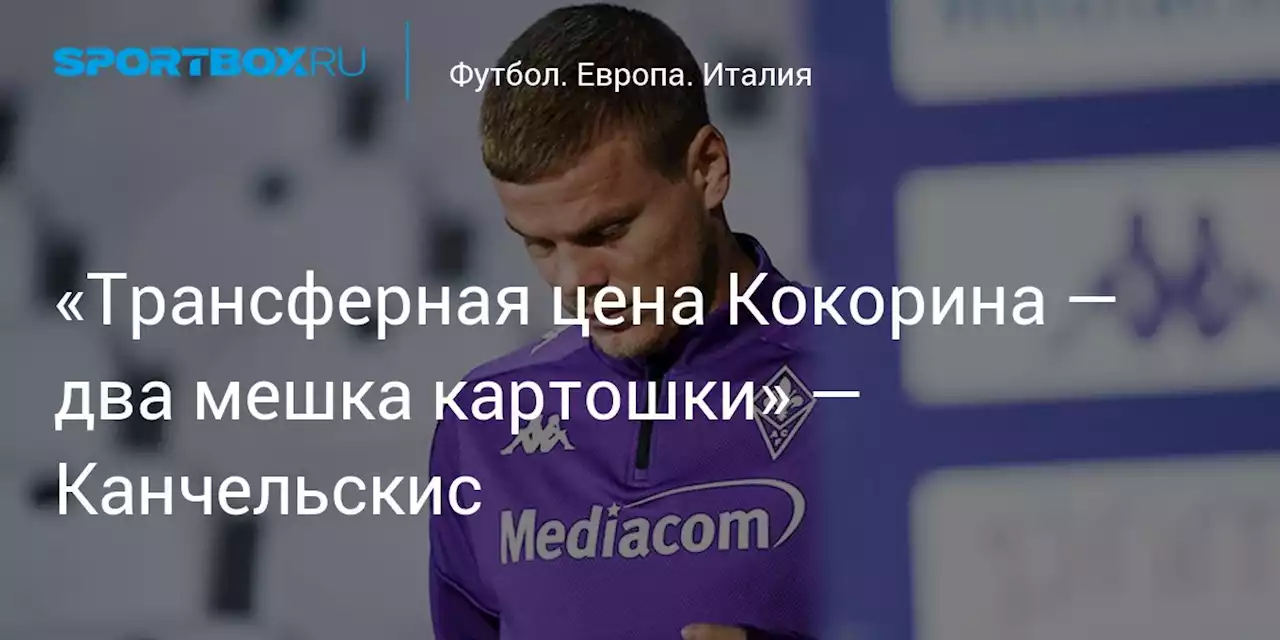 «Трансферная цена Кокорина — два мешка картошки» — Канчельскис