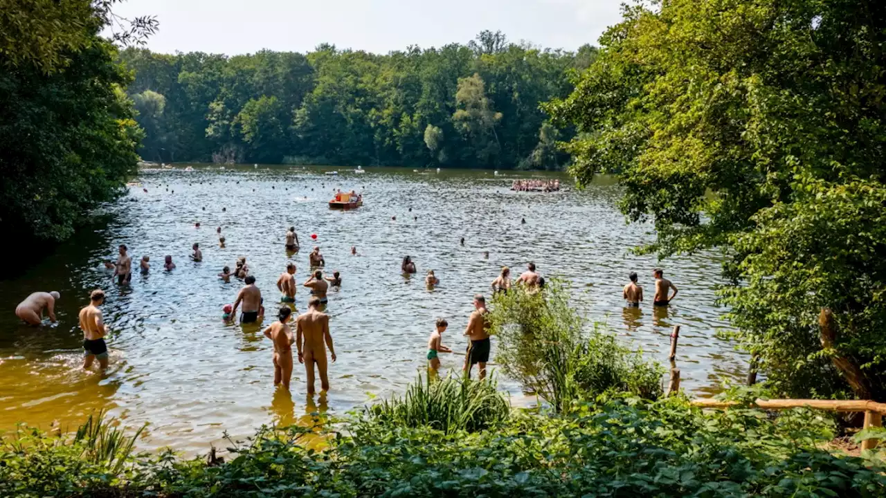 Nach dem Brand: der Grunewald als deutscher Geschichtsort