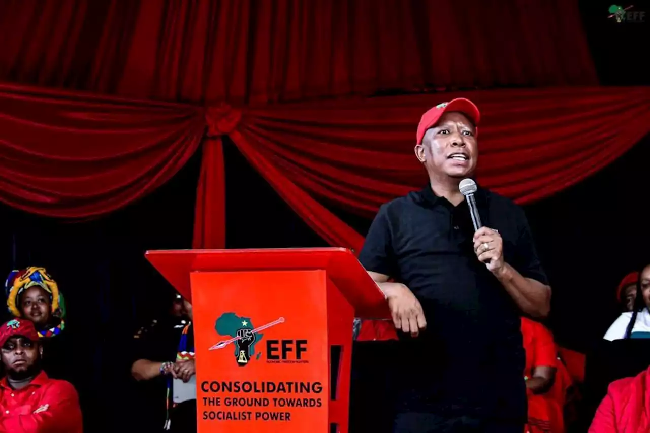 Malema slams Zondo appointment, 'The Chief Justice with no brain' | The Citizen