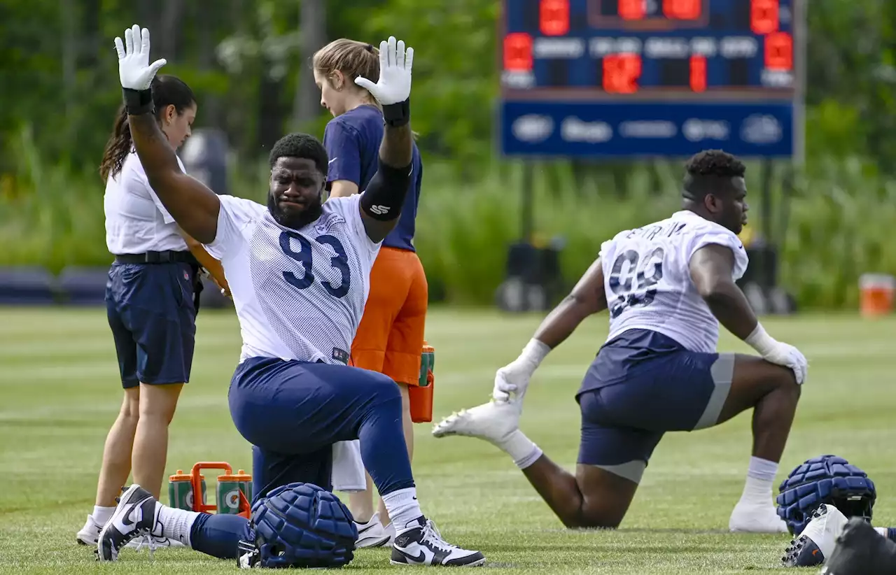 Bears' DL Could Be Bright Spot In 2022