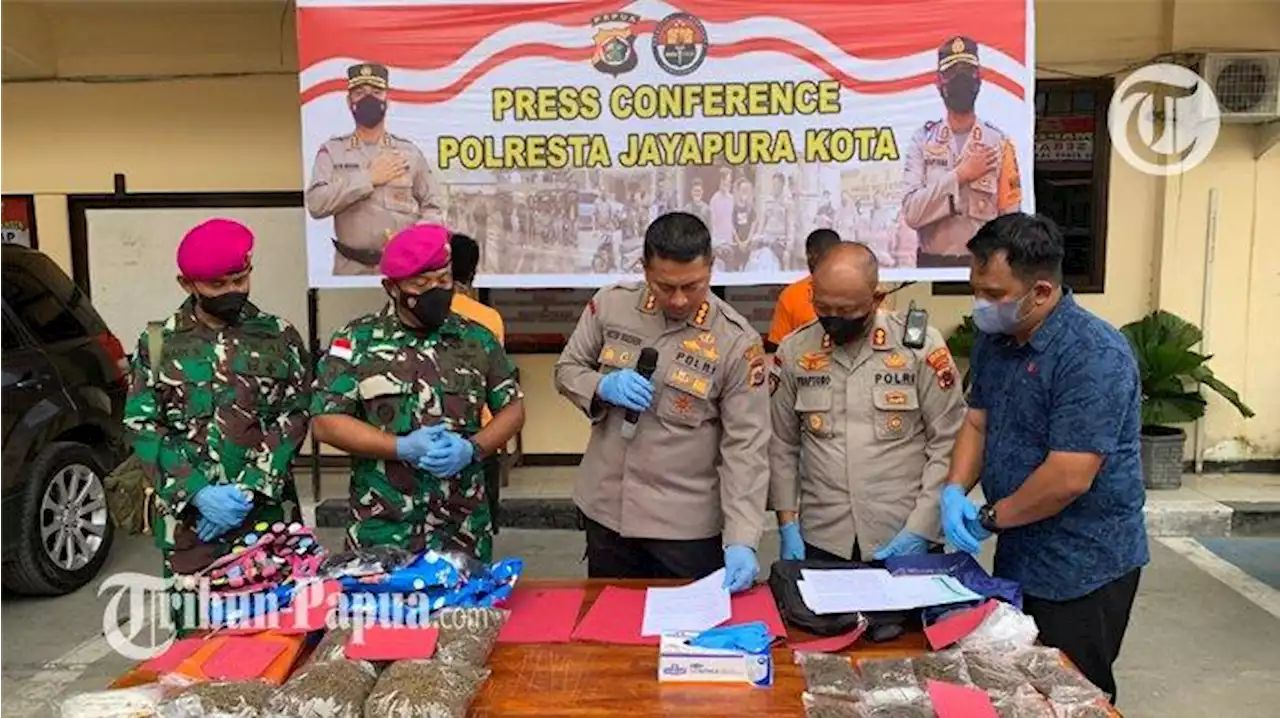 Aparat TNI-Polri Gagalkan 2 Kasus Peredaran Ganja di Kota Jayapura Papua - Tribun-papua.com