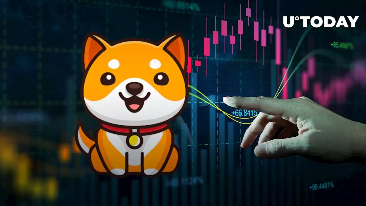 BabyDoge Spikes up 20% Amid Potential Major Crypto Exchange Listing