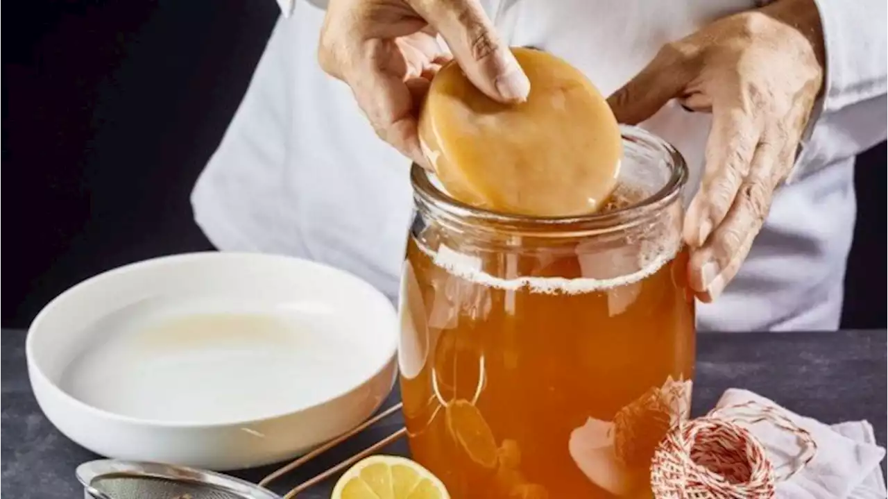 Mengenal Kombucha, Teh yang Terbuat Dari Jamur dan Bakteri